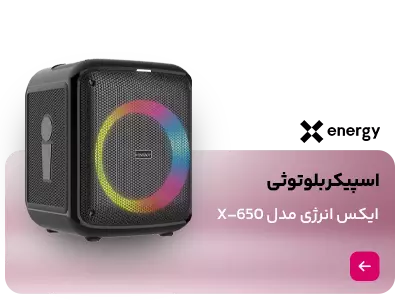 اسپیکر بلوتوثی قابل حمل ایکس انرژی مدل X-650