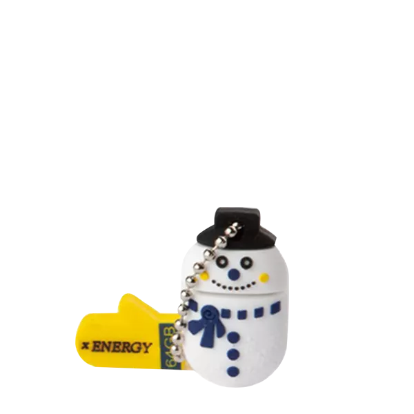 X-Energy Snowman 64GB Flash Memory