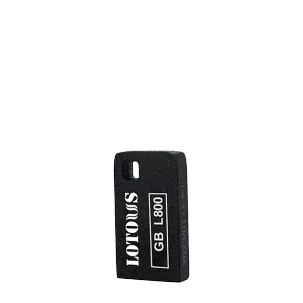 Lotous  L-800 16GB Flash Memory