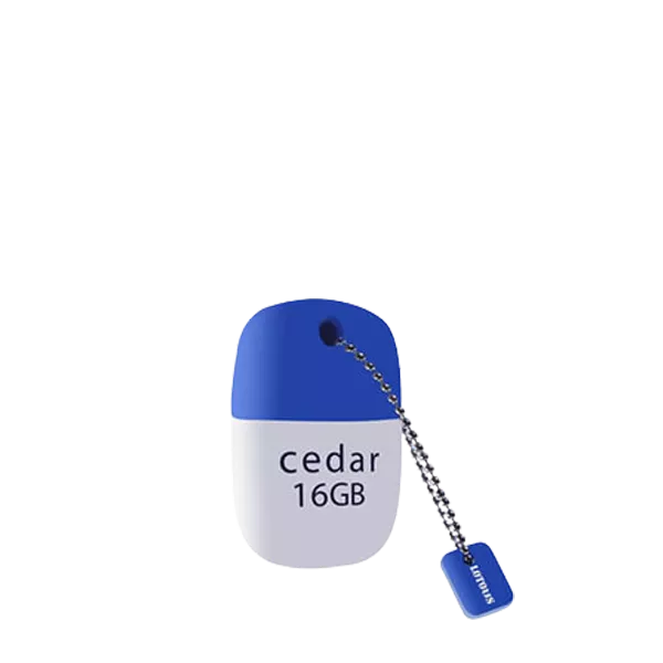 Lotous Cedar 64GB Flash Memory